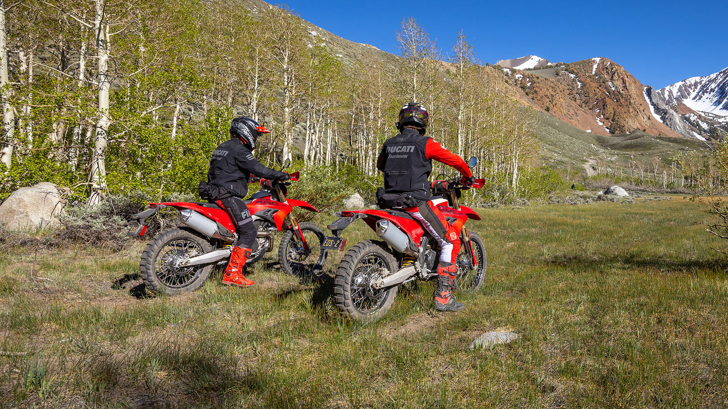 2026 Ducati Desmo450 EDS