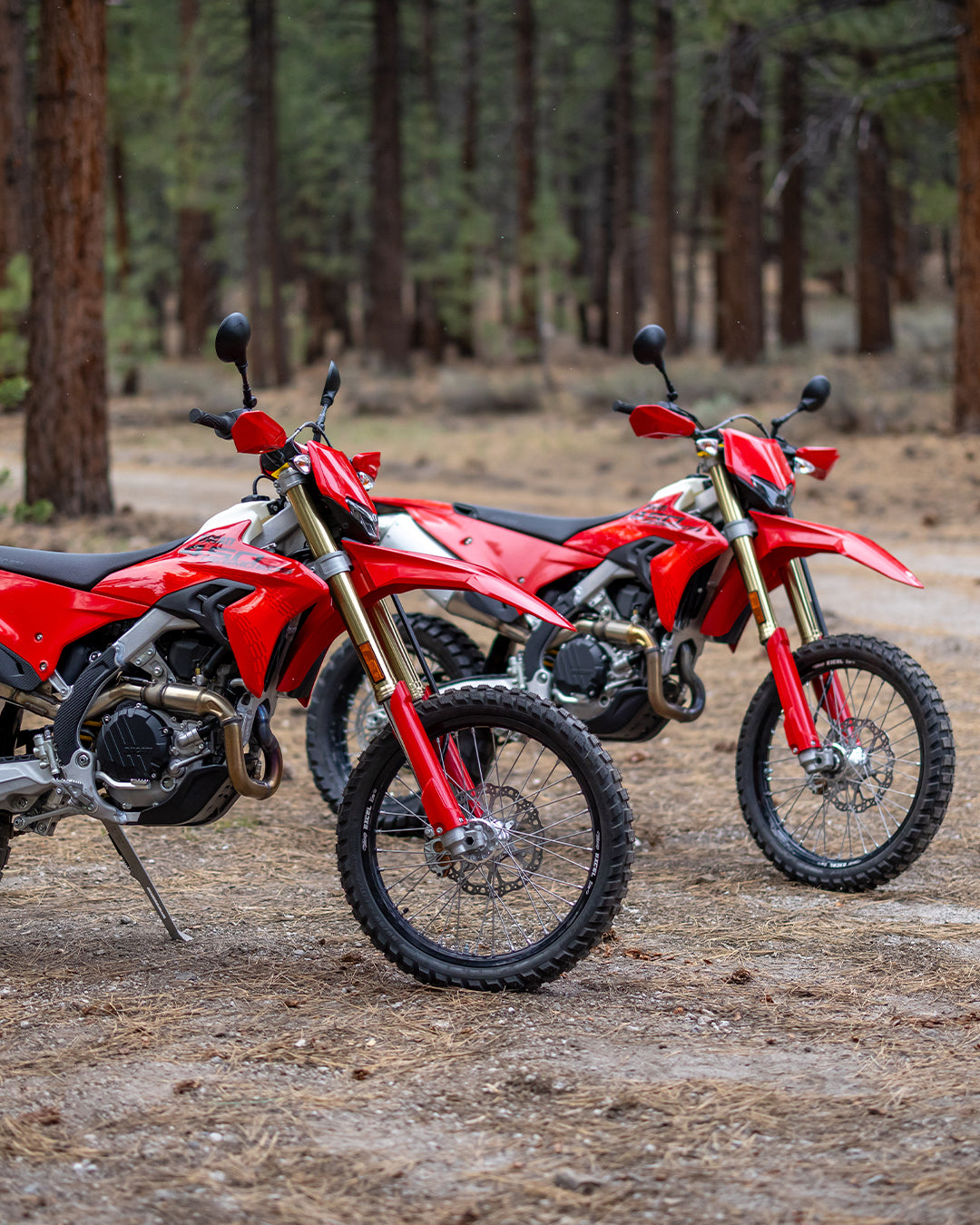 2026 Ducati Desmo450 EDS