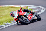 2024 Ducati Panigale V2 Bayliss