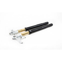 FGRT 214 - Ohlins - R&T Front Forks - Panigale 899/959/V2/V4
