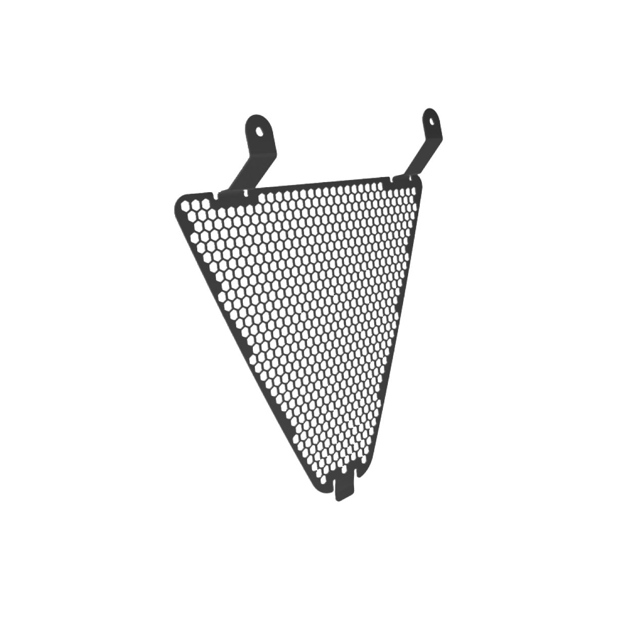 97380101B - RADIATOR PROTECTION KIT PANIGALE