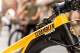 Ducati THOK e-Scrambler Electric Bicycle City Urban Trekking Bike