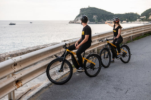 Thok e sales bikes ducati