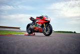 2024 Ducati Panigale V2 Bayliss