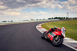 2024 Ducati Panigale V2 Bayliss