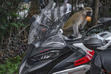 2023 Ducati Multistrada V4 Rally