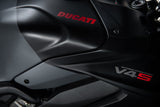 2024 Ducati Streetfighter V4 S - Grey