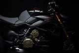 2024 Ducati Streetfighter V4 S - Grey