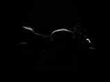 2024 Ducati Streetfighter V4 SP2
