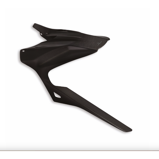 96981581AA - Carbon Rear Mudguard - Diavel V4