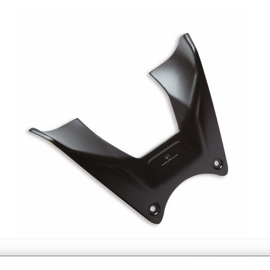 96981591AA - Carbon Fuel Tank Cover - Diavel V4