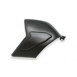 CNC Racing Carbon Fiber Swingarm Cover for Ducati Panigale V4 / S / Speciale