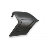 CNC Racing Carbon Fiber Swingarm Cover for Ducati Panigale V4 / S / Speciale