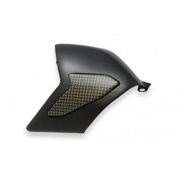 CNC Racing Carbon Fiber / Kevlar Swingarm Cover for Ducati Panigale V4 / S / Speciale