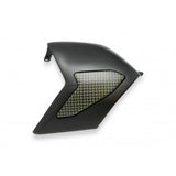 CNC Racing Carbon Fiber / Kevlar Swingarm Cover for Ducati Panigale V4 / S / Speciale